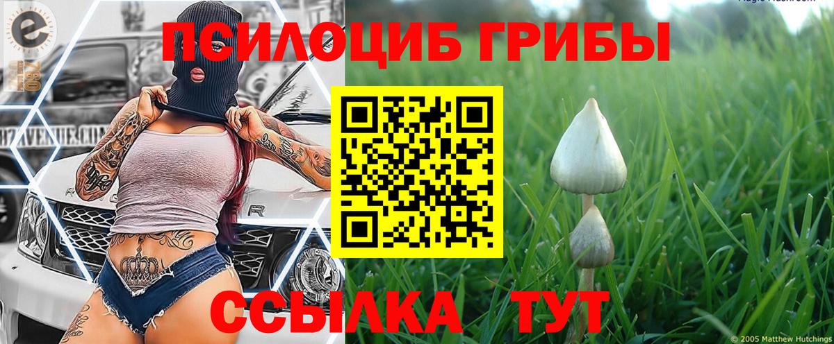 Псилоцибиновые грибы мицелий Россия