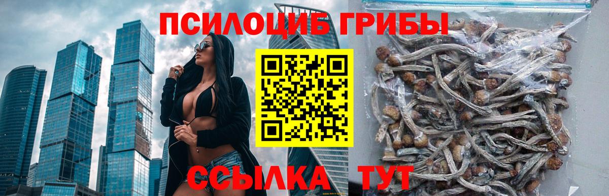 Галлюциногенные грибы мухоморы  Вход с VPN  Россия 